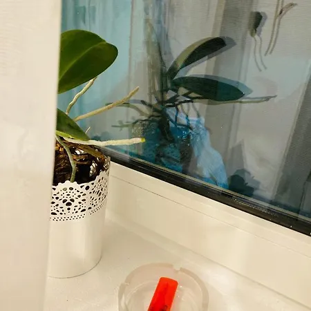 Studio Happy Apartment